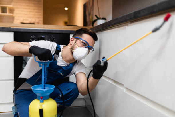 Trusted Sharon, TN Pest Control Experts