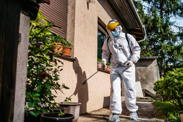 Best Local Pest Control Services  in Sharon, TN