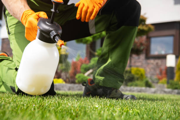 Best Mosquito Control Services  in Sharon, TN