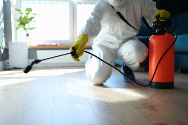 Best Flea Control Services  in Sharon, TN