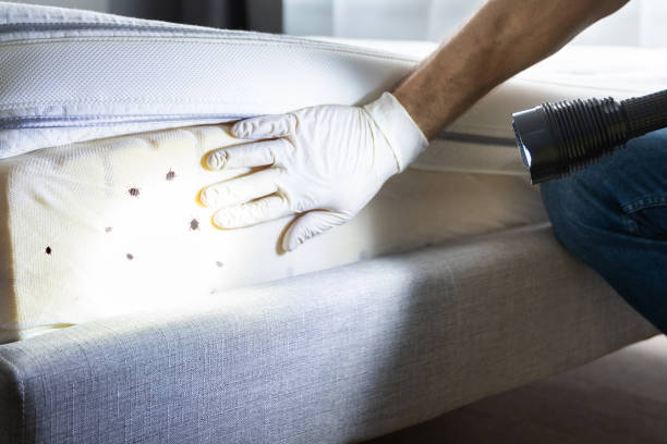 Best Pest Control Near Me  in Sharon, TN