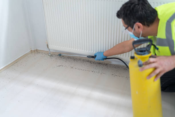 Best Pest Inspection Near Me  in Sharon, TN