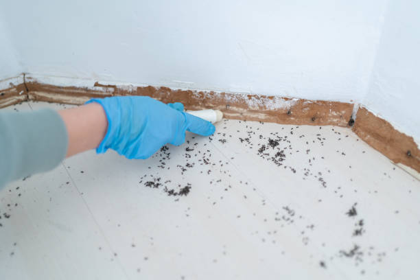 Best Commercial Pest Control Services  in Sharon, TN