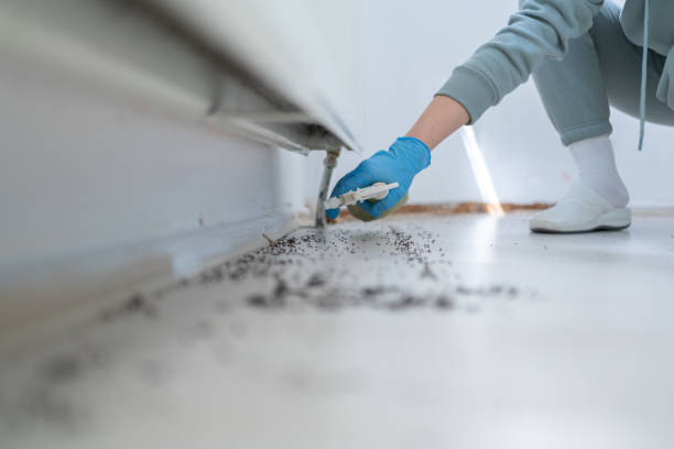 Best Termite Control Services  in Sharon, TN