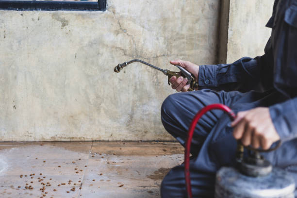 Best Emergency Pest Control  in Sharon, TN